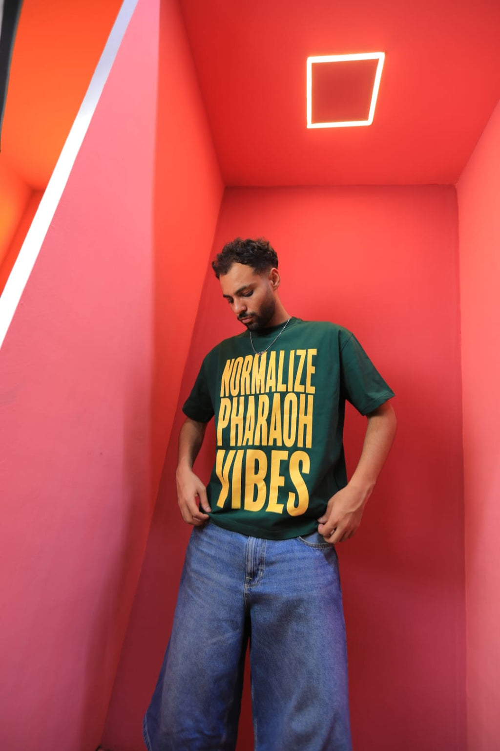 Normalize Pharaoh Vibes Oversized T-Shirt