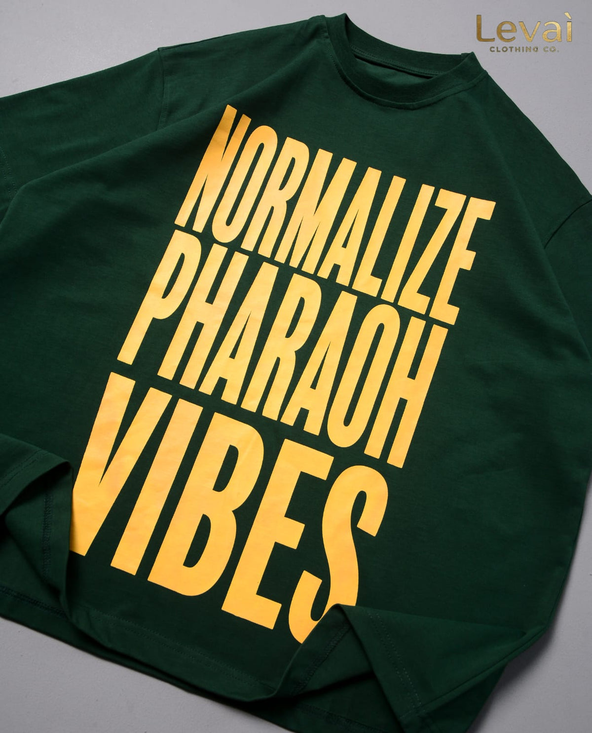 Normalize Pharaoh Vibes Oversized T-Shirt